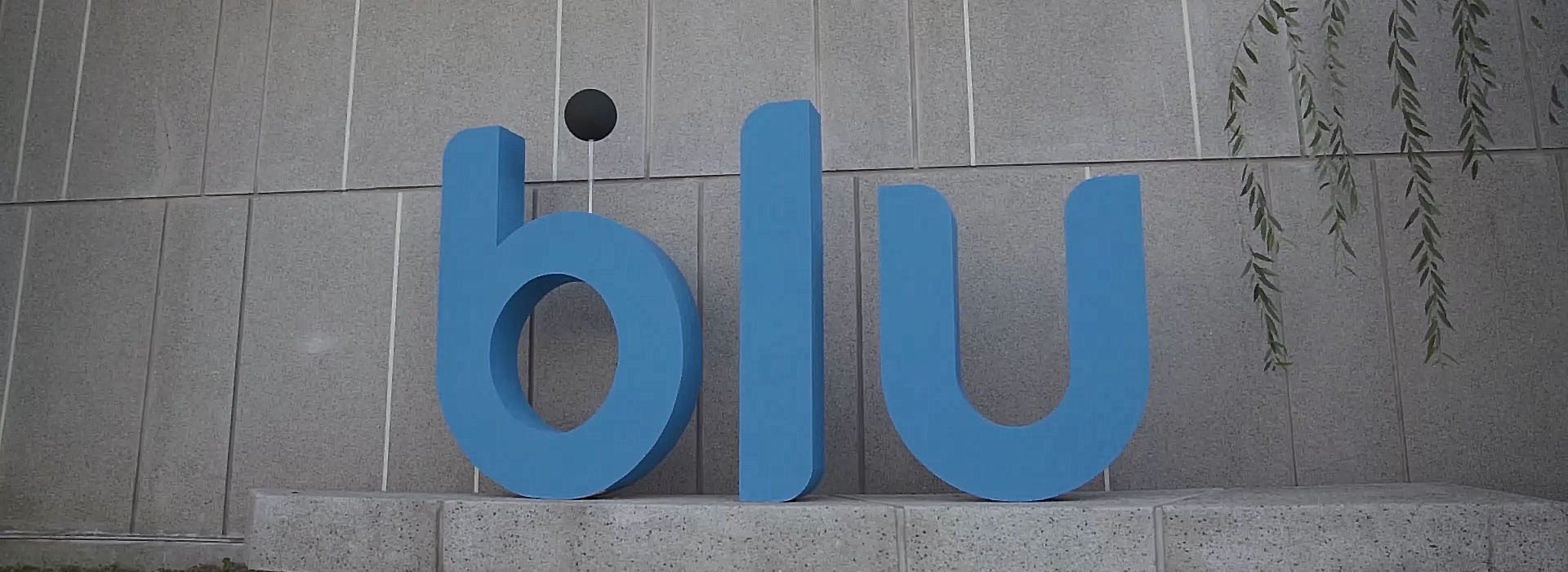 blu Bank Logo set up in the Karman house garden for the press event