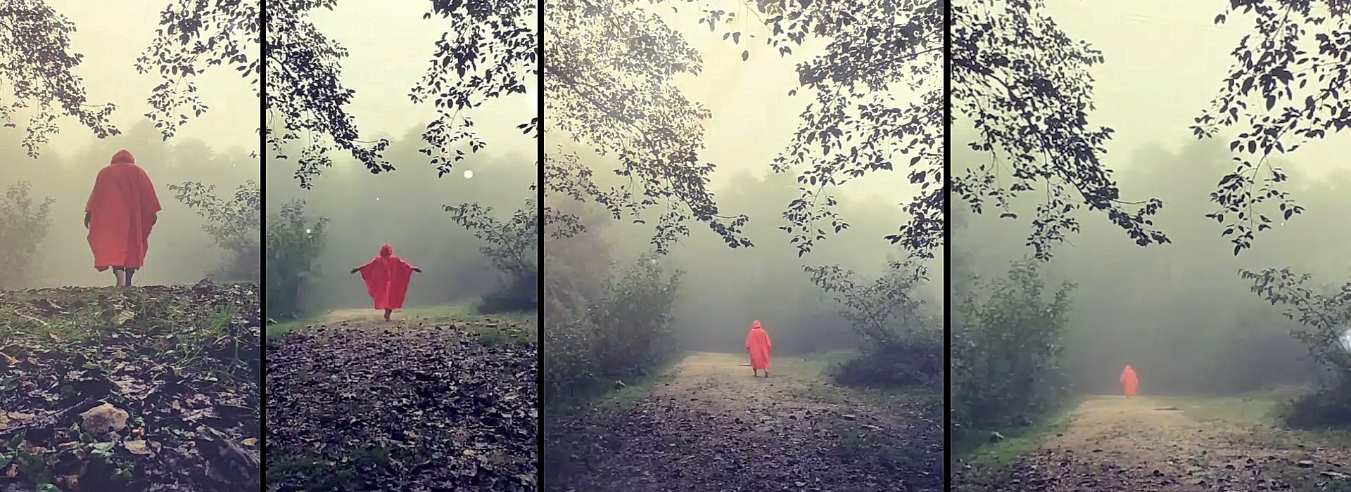 تصویری از ویدیو #درکنارهمیم - فردی در هوای پاییزی در جنگل مه آلود راه می‌رود